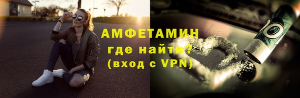 шишки Белокуриха