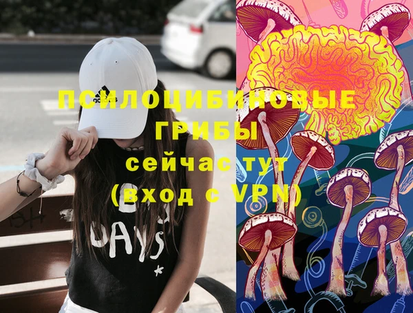ГАЛЛЮЦИНОГЕННЫЕ ГРИБЫ Осинники