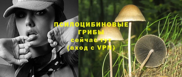 мескалин Нязепетровск