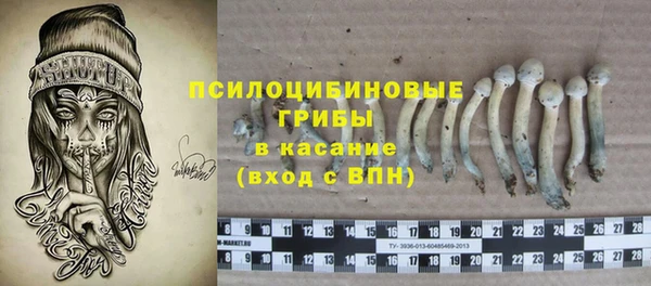 ГАЛЛЮЦИНОГЕННЫЕ ГРИБЫ Осинники