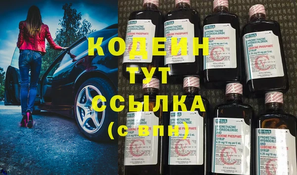 ГАЛЛЮЦИНОГЕННЫЕ ГРИБЫ Осинники