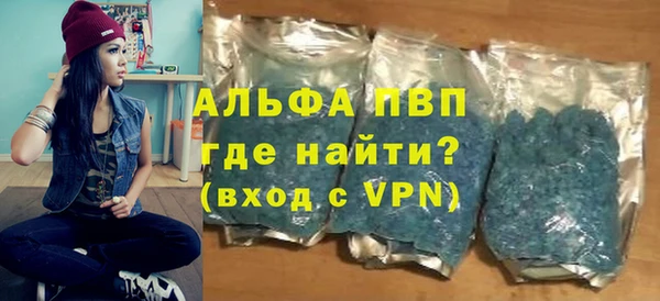 ГАЛЛЮЦИНОГЕННЫЕ ГРИБЫ Осинники